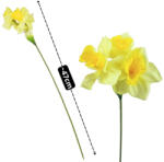  Nárcisz krém-sárga - papelito