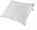 Inter-widex Párna 70x70cm, Senna Home, 3 rétegű, fehér, antiallergén (SHCORPECO70x70B1000g)