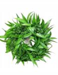  Sírdísz koszorú Ruskus dekoratív koszorú zöld levelekkel 27cm (Q43-0345)