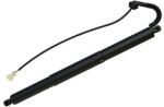 MTR Amortizor portbagaj MTR 13196346 (13196346) - automobilus