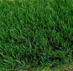  Műfű 50 mm Soft PX2, 2 méteres