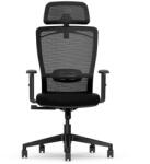 FlexiSpot Ergonomikus irodai szék BS3, Fekete - állítható háttámla és kartámasz, hosszú távú ülőmunkához (BS3B)