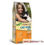 Cat Vital Chicken & Rice 10kg