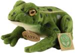 Rappa Плюшена играчка Rappa Еко приятели - Жаба, 19 cm (251809)