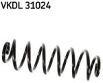 SKF VKDL 31024 Arc spiral