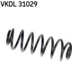SKF VKDL 31029 Arc spiral
