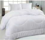 Palatex Pilotă Dublu cu Umplutură Microfiber 200x200cm Alb 42101402 300 g/mp2Gsm (42101402)