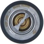 NRF 725126 EASY FIT termostat lichid racire