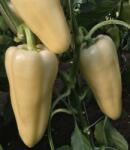 Capsico Rezigo 1000 szem