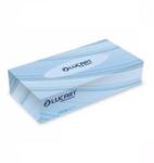 Lucart Kozmetikai kendő 2 rétegű 100 lap/doboz Strong 100V Lucart_841030 hófehér (LUCART_45208) (LUCART_45208)