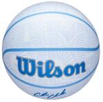 Wilson Sport Kosárlabda Caitlin Clark Envision méret: 5 (108500286)