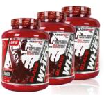 BladeSport - Anabolic Whey - With Creatine Glutamine Complex - 3 X 2000 G