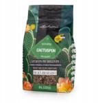 Lechuza Cactuspon szubsztrát, 3l, kaktusz táptalaj (19545)