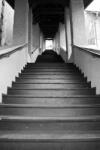 agmART Fotótapéta Fekete-fehér Lépcső Bejárat (Fototapety agmART)