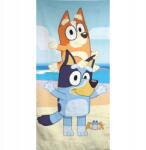 Aymax Bluey Balance fürdőlepedő, strand törölköző 70x140cm (Fast Dry) (AYM-071BLU-BTM)