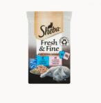 Sheba Fresh & Fine - lazaccal és tonhallal mártásban 6 x 50 g