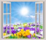 agmART Fotótapéta 3D Ablak kilátás tisztás virágok égbolt