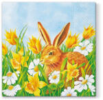  MFP Szalvéta 33 x 33 cm 3 rétegű 20 Lap/Csomag Pihenő Nyúl (MFP2011127)