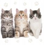 POL-MAK Cicás Three Beautiful szalvéta 20 db-os 33x33 cm