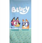 Aymax Bluey Diving fürdőlepedő, strand törölköző 70x140cm (Fast Dry) (BLUEY)