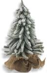  Havas fenyő zsákos talppal