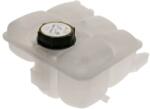 TERMOTEC Motor, Vas De Expansiune Racire (dbg014tt)