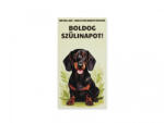  „Boldog Szülinapot! - tacskós hűtőmágnes (CQ07075)