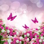 agmART Fotótapéta Színes Virágok Pillangók Konyha Nappali (Fototapety agmART)