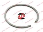 AIP Segment 49mm x 1.2mm (AIP) (7754460)