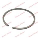 AIP Segment 41mm x 1.5 mm AIP (7753029)