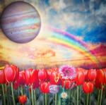 agmART Fotótapéta Tulipánok Virágok Szivárvány Kozmosz 200x130 (Fototapety agmART)