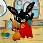 Aymax Bing Room kéztörlő, arctörlő, törölköző 30x30cm (Bing 011)