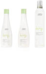 Shot PERFECT CURL Shot Set mic pentru par cret (sampon 250ml + masca 250ml + spuma 150 ml) (C7047)