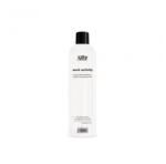 Shot Spray fixativ cu KERATINA pentru PAR VOPSIT - SHOT - 490 ml (SHWA121)