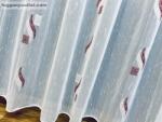 fuggonyoutlet Voile, Zelis, fehér alapon bordó, 300x260 cm