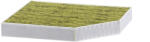 Mann-filter FP 2450 FreciousPlus Filtru aer habitaclu