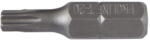 PROLINE 10681
