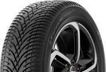BFGoodrich g-force Winter 2 205/55 R17 91H
