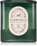 Paddywax Vista Cactus Flower & Aloe lumânare parfumată 340 g