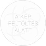 Uni UNIPAP Ever After High Vonalas Füzet - A5, 32 lap, 1. osztály (UNEAH532V1)