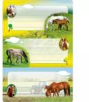 HERMA Herma: Lovas füzet címke - csillámos, 6 db-os (5568)