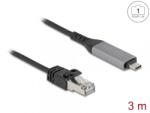 Delock Cablu de retea USB Type C la RJ45 Gigabit LAN 3m, Delock 60761 (60761)