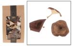  dekoráció szárított gomba 50gr natúr (16714-017)