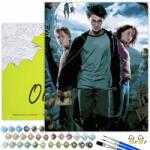 Oh Art! Festés Számok Alapján Harry Potter Festmények számok szerint kerettel (MALOWANIE PO NUMERACH dla dzieci 40x50 Oh Art)