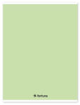 Fortuna Füzet vonalas FORTUNA Monocolor A/4 32 lapos 81-32 pasztell zöld (01.02105) - robbitairodaszer