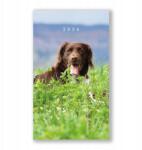 Vikpap heti napló kutyának 2026, 10 × 17 cm (DK05-26)