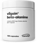 Vilgain Beta-alanină -⁠ 100% beta-alanin pur, materie primă de marcă CarnoSyn®, potrivit pentru antrenamente intense de scurtă durată