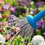 DobreNasiona. pl Aquagel hidrogél megtartja a vizet a talajban az erkélyre való cserepekhez 10 gramm (Hydrożel)