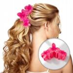 Ecarla XL Hajcsat SP386 ** Ecarla (5903678593438)