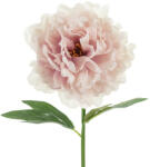  Művirág- Bazsarózsa, 35 cm, halvány rózsaszín (KWT4-081B)
